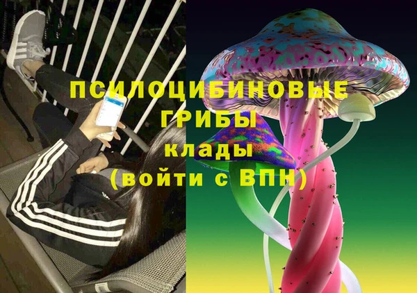 не бодяженный Алексин